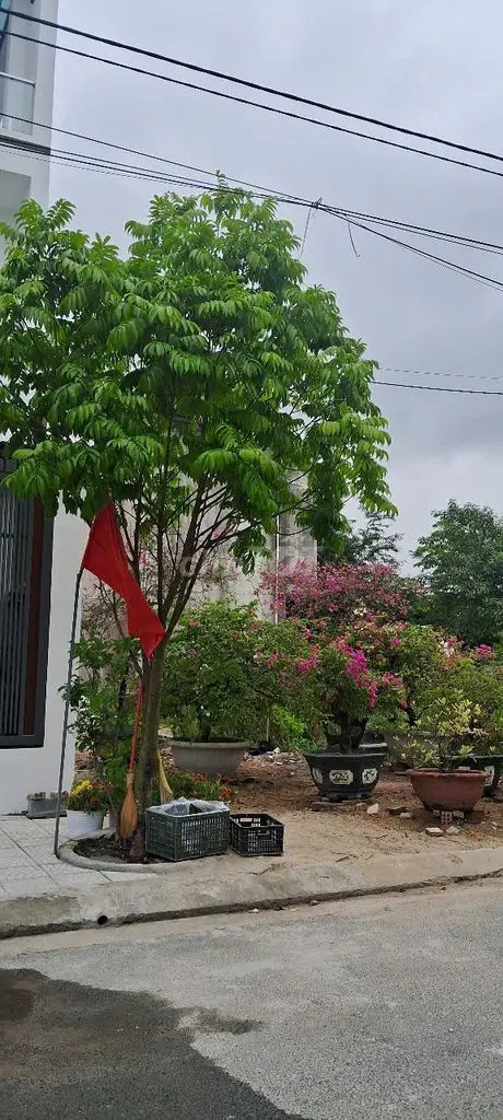 Xuất Hiện Lô Đất Giá Rẻ Khu Làng Đại Học Đông Trà