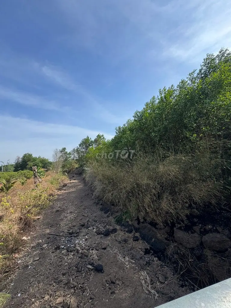 Bán Lô Đất Hơn 2000M² Ấp 3, Hòa Hội, Xuyên Mộc, Giáp Suối Mát