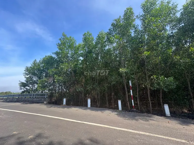 Bán Lô Đất Hơn 2000M² Ấp 3, Hòa Hội, Xuyên Mộc, Giáp Suối Mát
