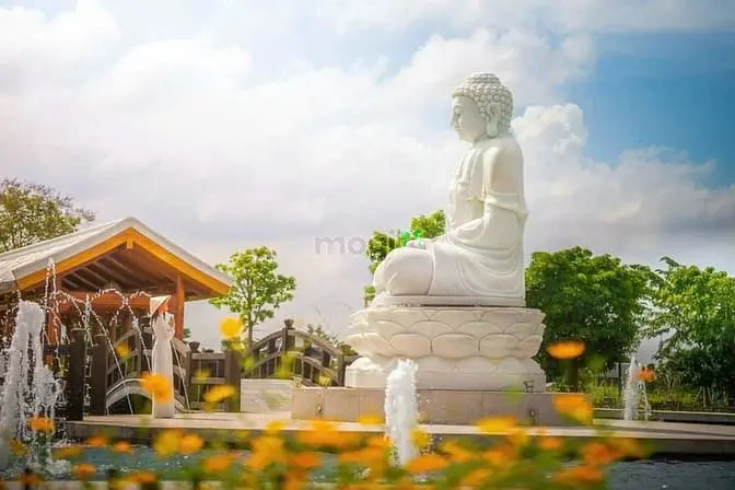 Mảnh Đất Tâm Linh – Tài Sản Vô Giá Của Gia Đình