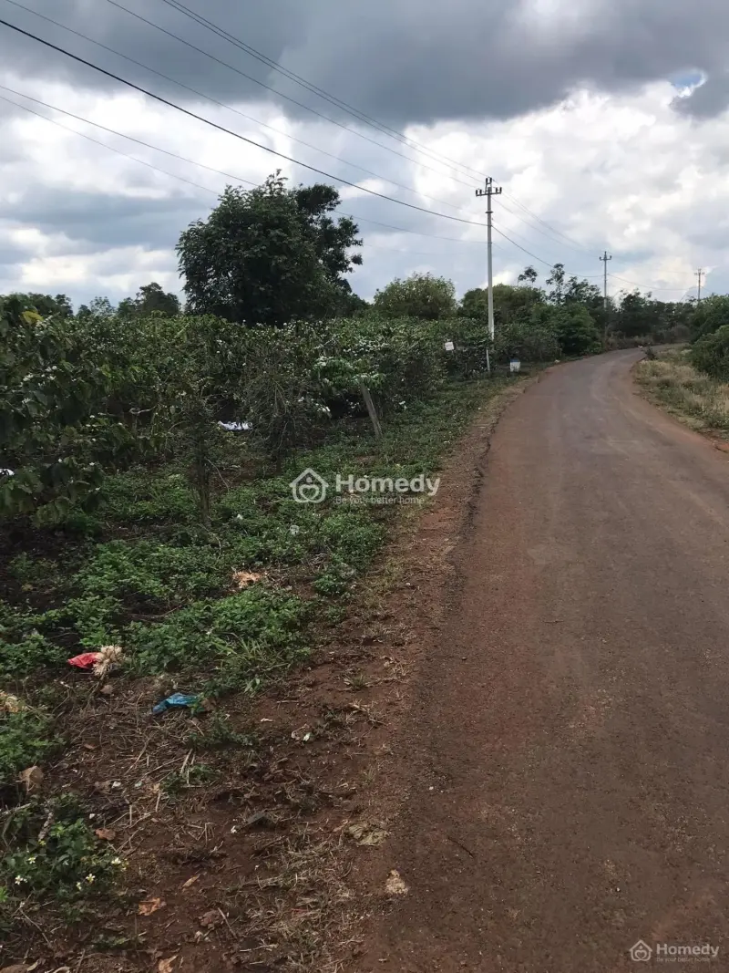 Chính Chủ Cần Bán Gấp 6.2Ha Đất Nông Nghiệp, 300M Mặt Tiền 2 Đường 1 Liên Xã 1 Liên Huyện