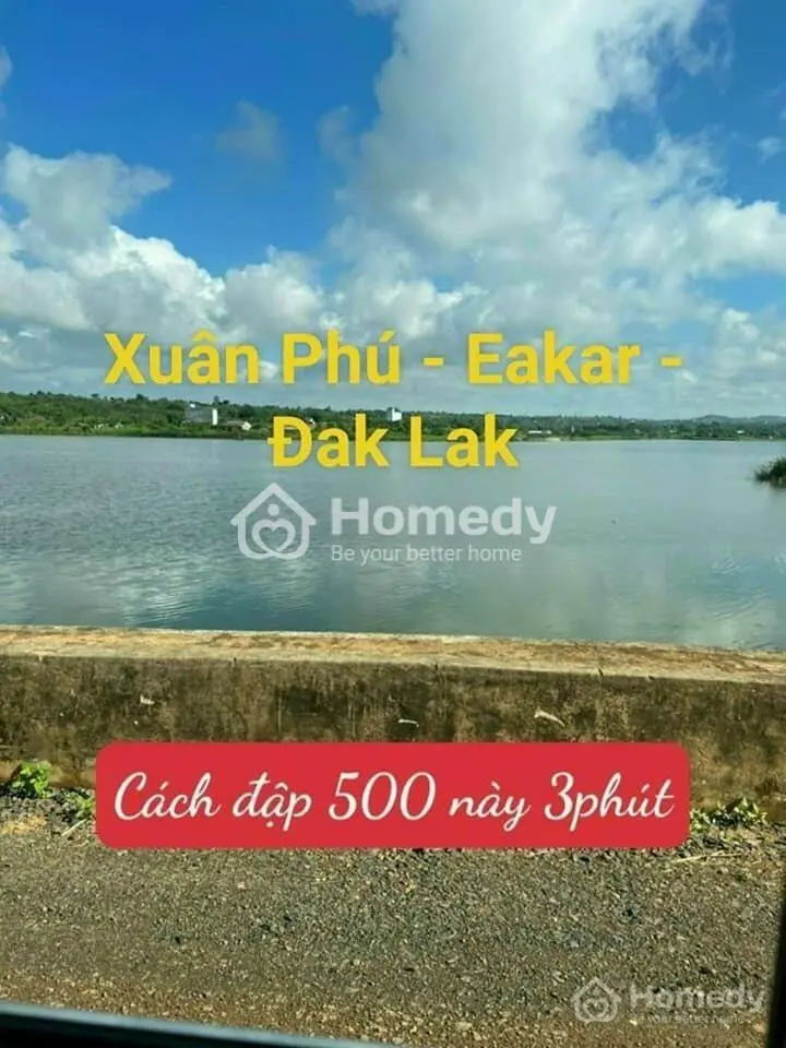 Tiềm Năng Cho Các Nhà Đầu Tư, 189Tr Sở Hữu 556M2 Đất Sổ Sẵn, Cc Nhanh Gọn