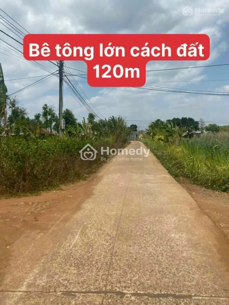 Tiềm Năng Cho Các Nhà Đầu Tư, 189Tr Sở Hữu 556M2 Đất Sổ Sẵn, Cc Nhanh Gọn