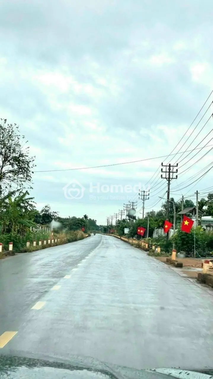 Tiềm Năng Cho Các Nhà Đầu Tư, 189Tr Sở Hữu 556M2 Đất Sổ Sẵn, Cc Nhanh Gọn