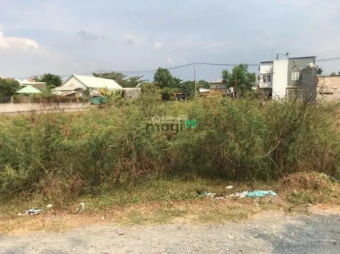 5983814 ảnh đại diện 1