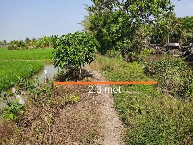 Đất Thổ Cư 19X27,Shr Xã Tân Phú Gần Kcn Trần Anh