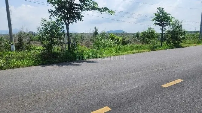 Siêu Phẩm View Biển 20,5X164(3516M2) Hùng Vương Tân Bình Lagi Giá Ngộp