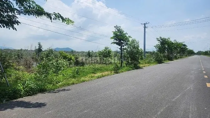 Siêu Phẩm View Biển 20,5X164(3516M2) Hùng Vương Tân Bình Lagi Giá Ngộp