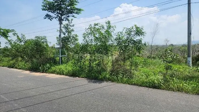 Siêu Phẩm View Biển 20,5X164(3516M2) Hùng Vương Tân Bình Lagi Giá Ngộp