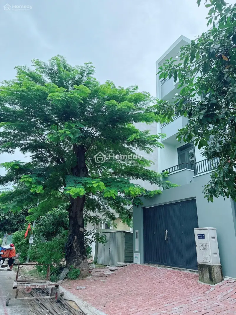 Cần Bán Gấp Nền Đất Lô C -100M2- Đn - Đường14M Giá 50 Tr/M2 Ở Kdc 13E