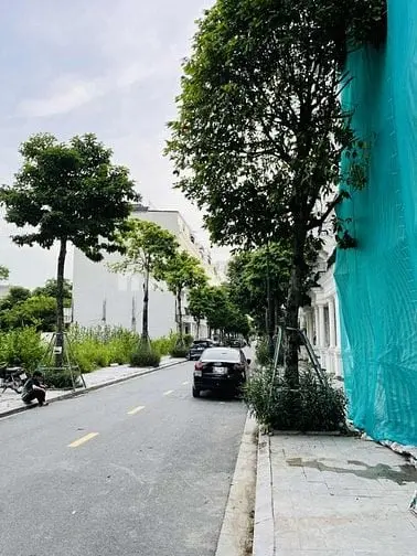 5995659 ảnh đại diện 1