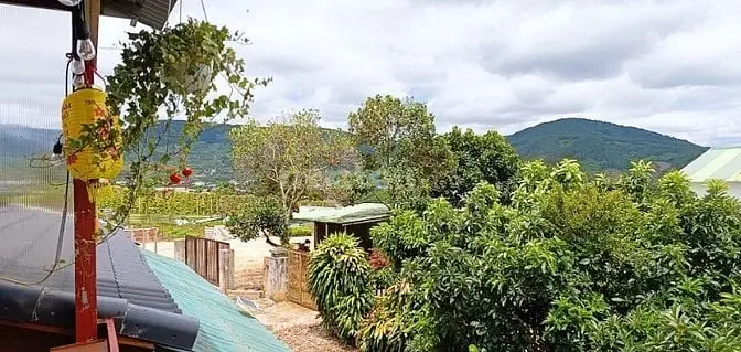 5996799 ảnh đại diện 1