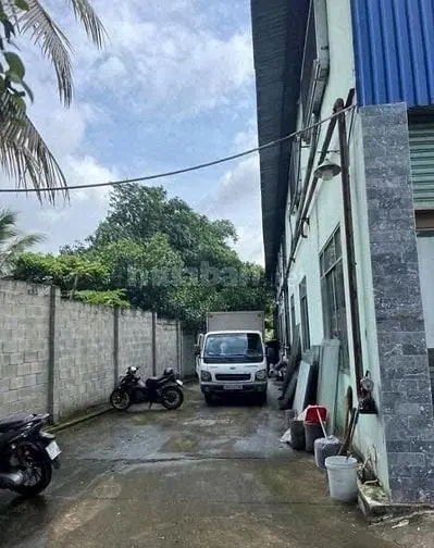 5997473 ảnh đại diện 1
