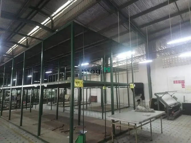 5999264 ảnh đại diện 1