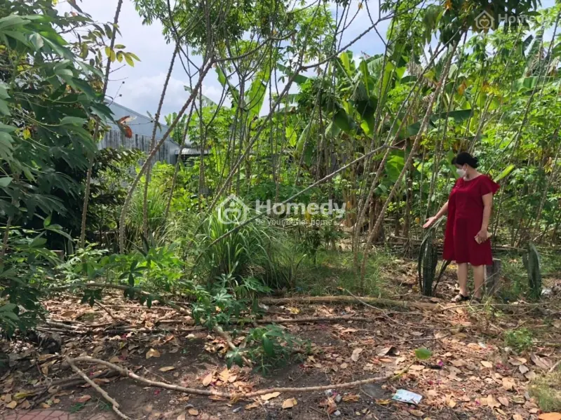 6001570 ảnh đại diện 1