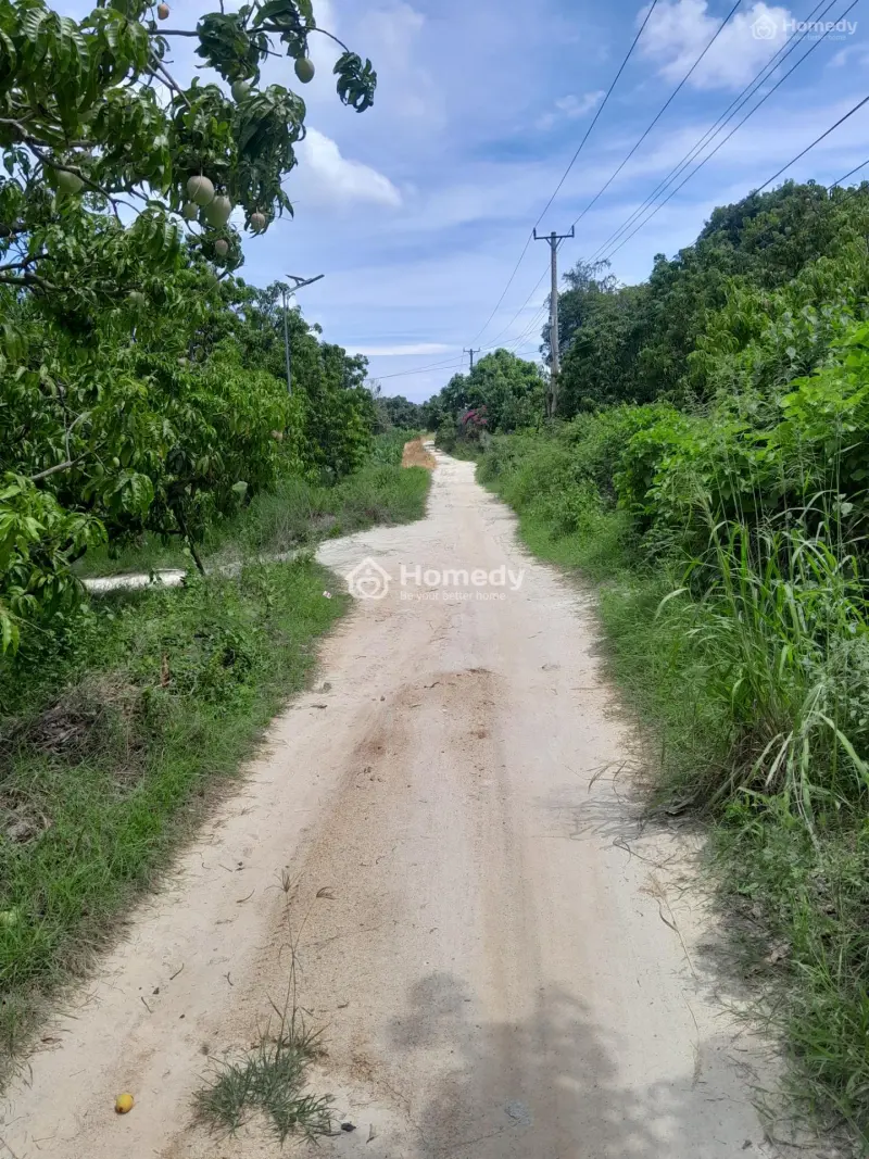 Bán 2400M2 - Có Sẵn Vườn Xoài - Điện, Nước Đầy Đủ - Cam Đức - Cam Lâm
