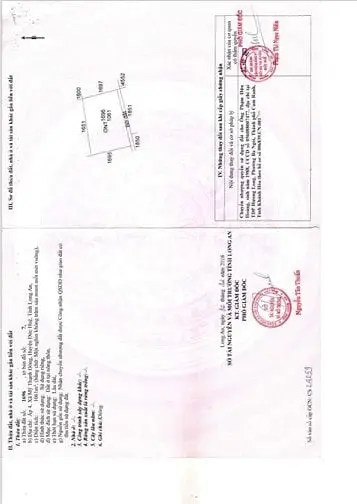 6001533 ảnh đại diện 1