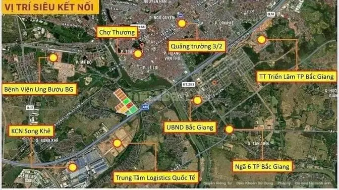 6001362 ảnh đại diện 1