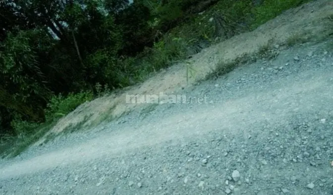 6001548 ảnh đại diện 1