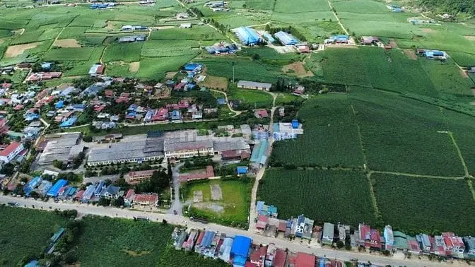 Bán Đất View Chè Trung Tâm Mộc Châu, Mặt Tiền Rộng Tới 44M