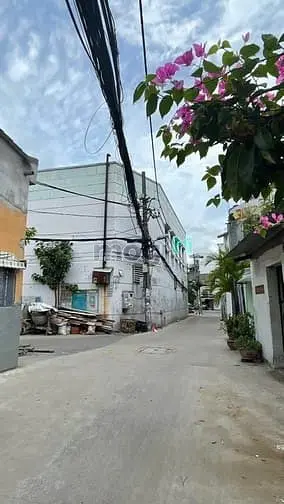 6001603 ảnh đại diện 1