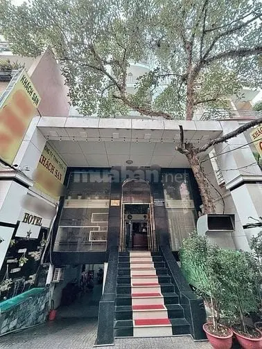 Hotel Khu K300- Doanh Thu 250Tr/ Tháng- Ngang 8M- 8 Tầng- 37 Tỷ