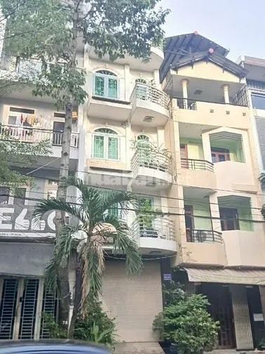6001963 ảnh đại diện 1