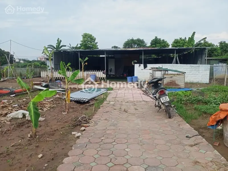 6001927 ảnh đại diện 1