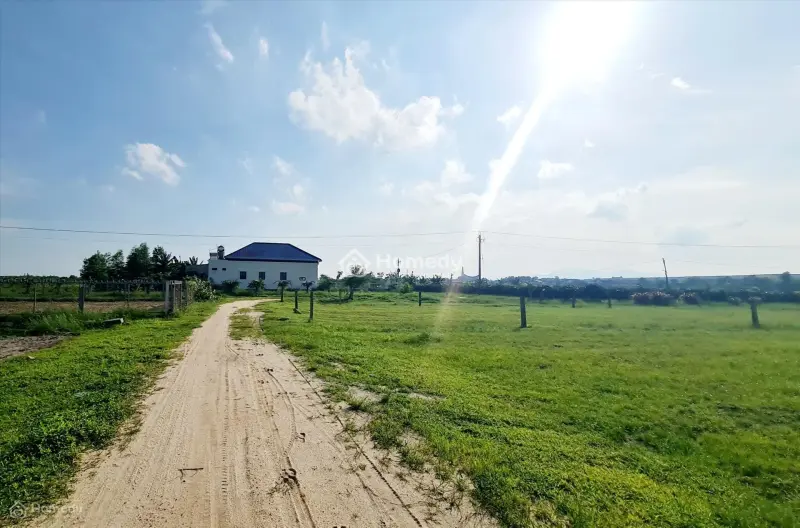 Bán 1003M2 Đất Odt Tân Bình - Lagi ( Khu Rừng Vàng ) Gần Biển 1.75 Tỷ
