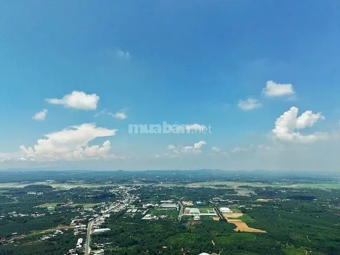 Cơ Hội Sở Hữu 1.050M² View Suối – View Đồi Tuyệt Đẹp Tại Định Quán