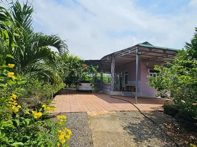 Chủ Định Cư Nước Ngoài Cần Bán Gấp Vườn 3.700M² Gần Tp. Long Khánh