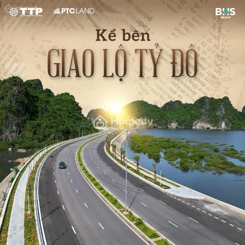 4623369 ảnh đại diện 1