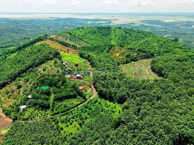 6002058 ảnh đại diện 1