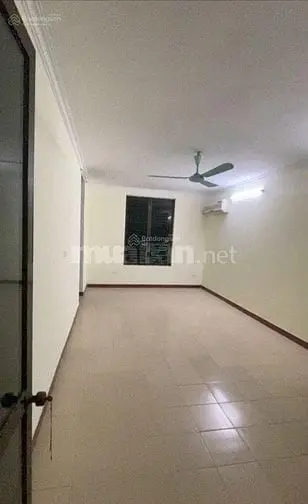 6002024 ảnh đại diện 1
