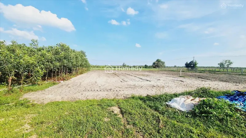 Bán 1003M2 Đất Odt Tân Bình - Lagi ( Khu Rừng Vàng ) Gần Biển 1.75 Tỷ