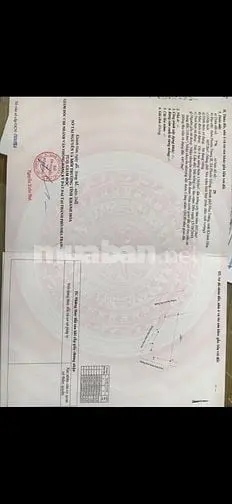 6002216 ảnh đại diện 1