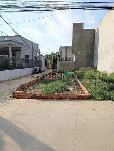 6001903 ảnh đại diện 1