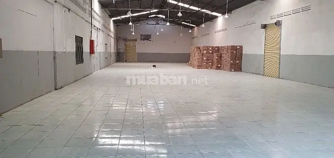 6002026 ảnh đại diện 1