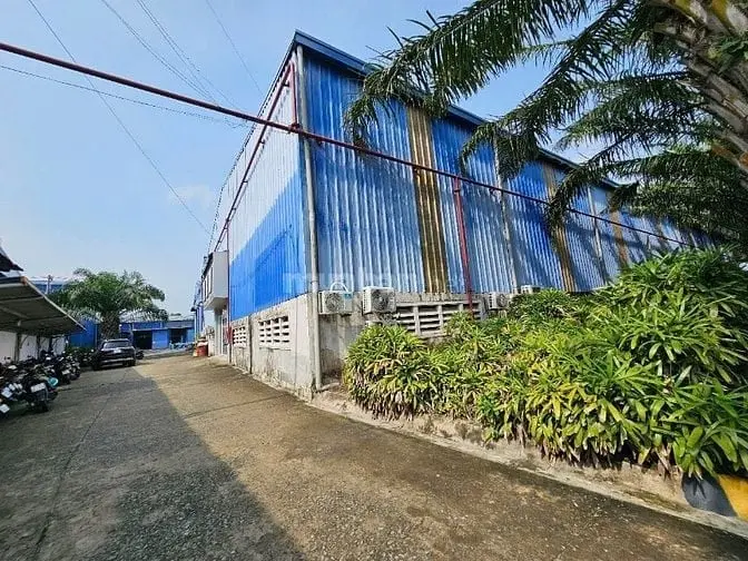 6002020 ảnh đại diện 1