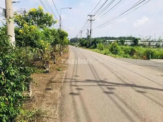 Chủ Định Cư Nước Ngoài Cần Bán Gấp Vườn 3.700M² Gần Tp. Long Khánh