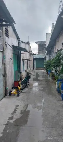6001976 ảnh đại diện 1