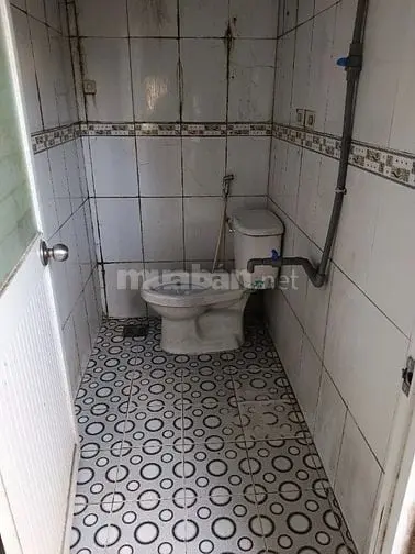 6001807 ảnh đại diện 1