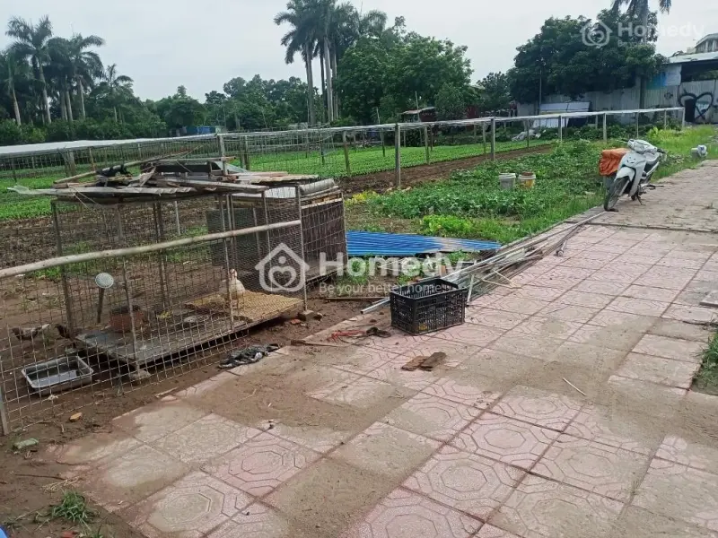 Rộng Quá Cho Thuê Lại 500M Làm Kho Xưởng Hoặc Chăn Nuôi
