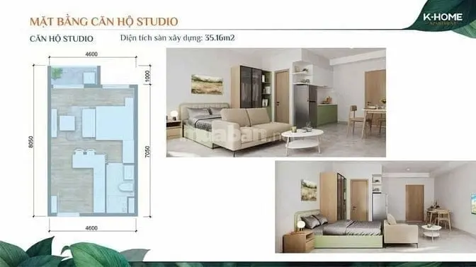 6003011 ảnh đại diện 1