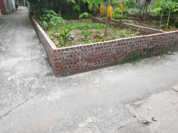 6002662 ảnh đại diện 1