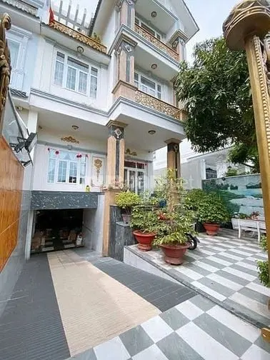 6002648 ảnh đại diện 1
