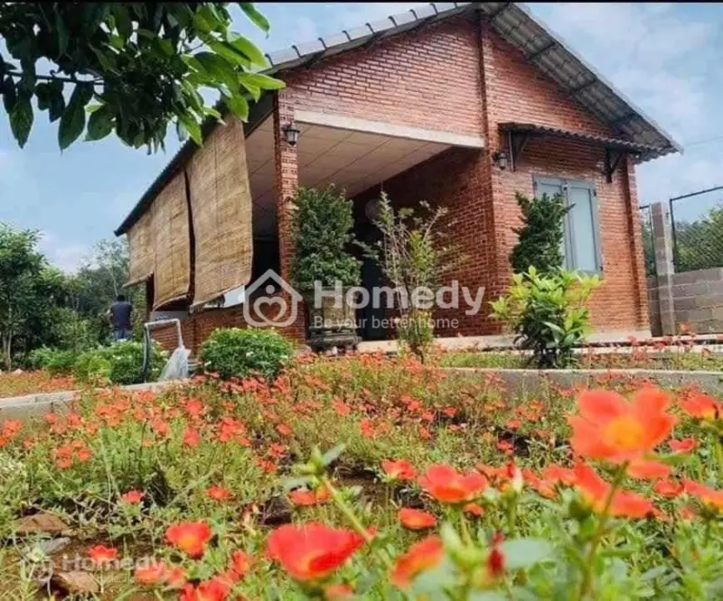 Cần Bán Nhanh Nhà Vườn, Đất Tại Chơn Thành Diện Tích Hơn 2000M2 Có Sẵn 100M Thổ Cư.