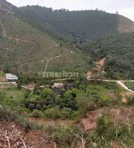 8000M Đất Trong Đó 500M Thổ Cư Giá 25 Tỷ