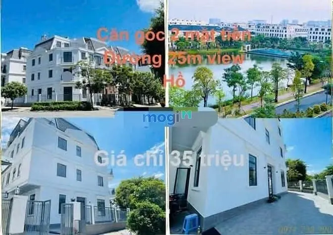 6003057 ảnh đại diện 1