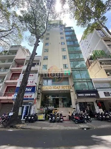 6003066 ảnh đại diện 1
